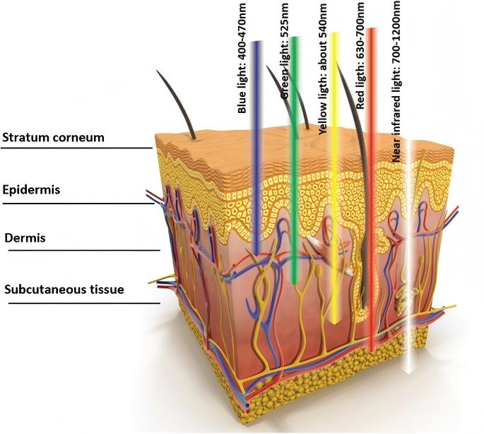 Lumi Revive Pro PDT LED Working Principle Lumi Revive Pro PDT LED Working Principle