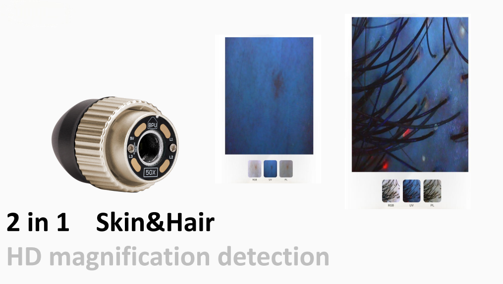DermaScan AI 2 in 1 Skin & Hair Analyzer3